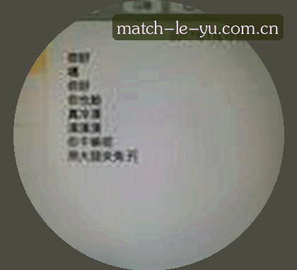 赵磊